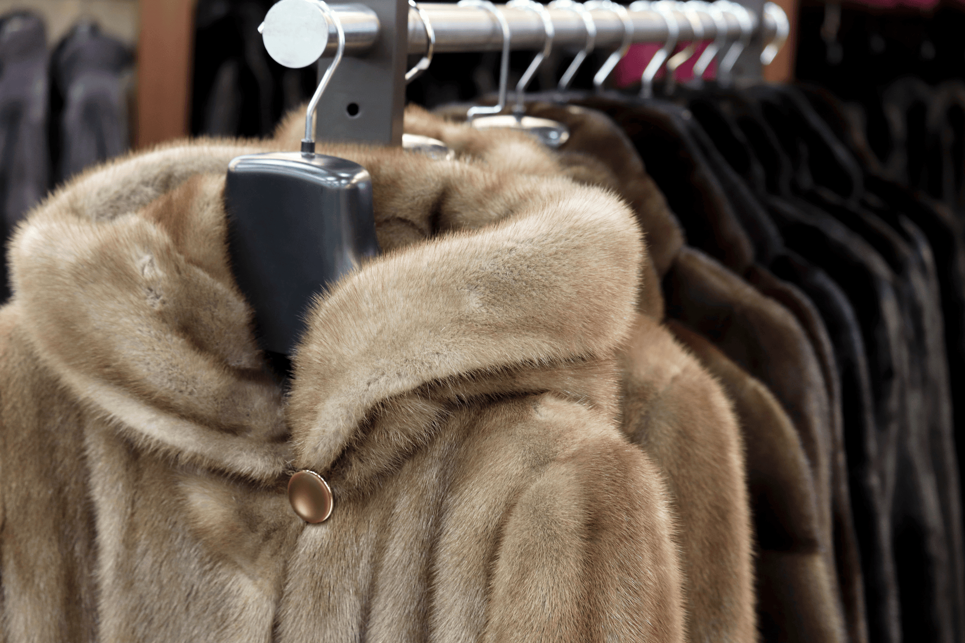 manteau vison beige capuche luxe femme manteau vison beige capuche luxe femme