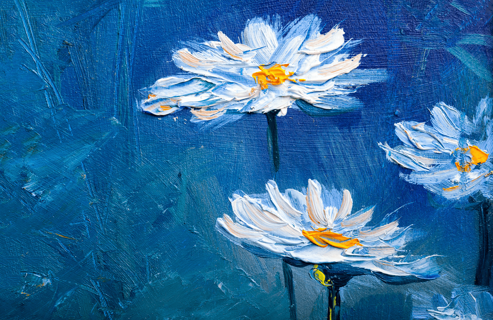 peinture fleurs marguerites blanches fond bleu peinture fleurs marguerites blanches fond bleu